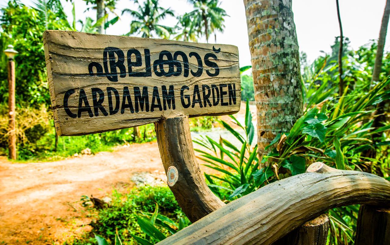 Mango Meadows Ξενοδοχείο Kottayam Εξωτερικό φωτογραφία