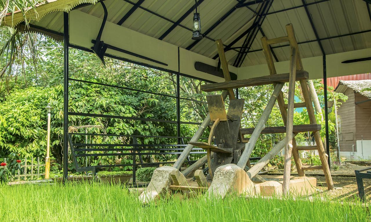 Mango Meadows Ξενοδοχείο Kottayam Εξωτερικό φωτογραφία