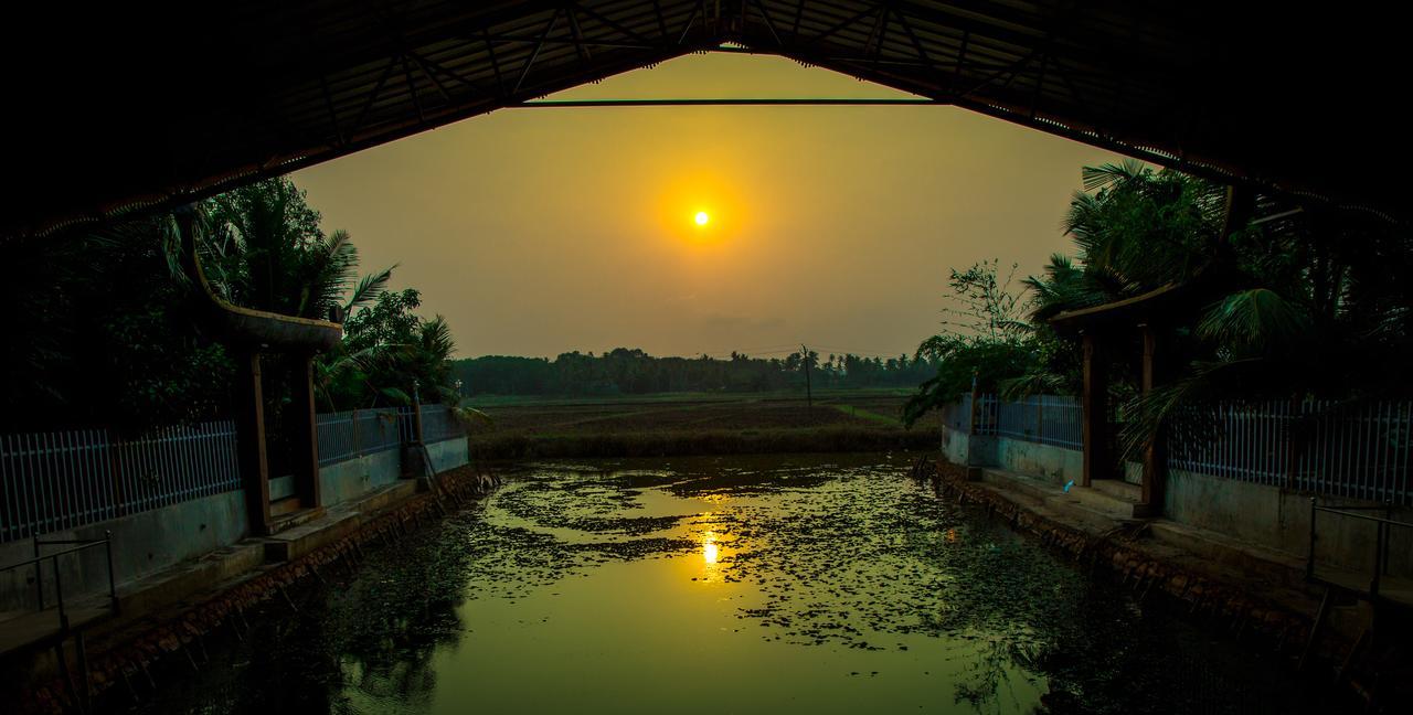 Mango Meadows Ξενοδοχείο Kottayam Εξωτερικό φωτογραφία